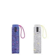 Petito Scribbled Romance