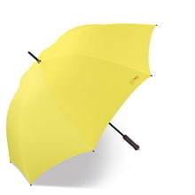 Air Two Golf Manual sulphur