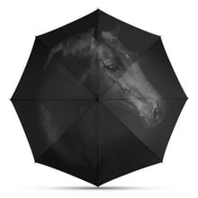 Long AC & Mini AC - horse